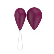 Виброяйцо с пультом управления Take it Easy Best Wine Red